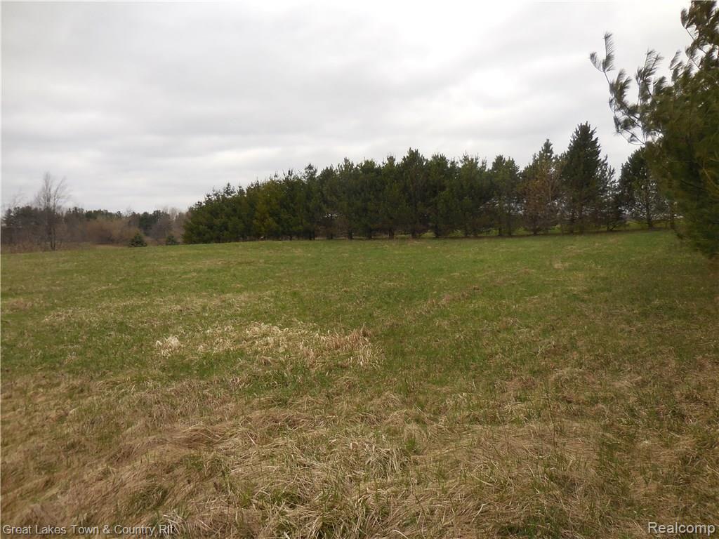 2 B Attica Road Attica, MI 48412 - Photo 13 of 16