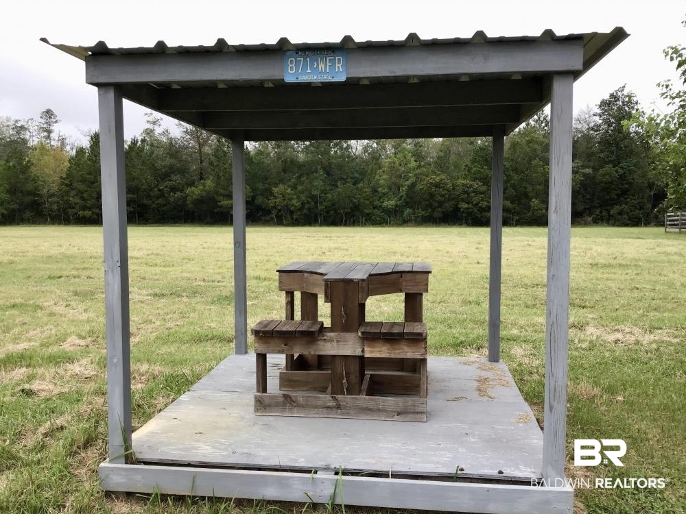 0 Country Road Axis, AL 36505 - Photo 13 of 42