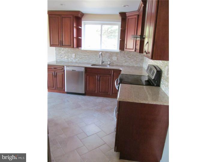 30 Leopard Road Paoli, PA 19301 - Photo 3 of 24 Kitchen