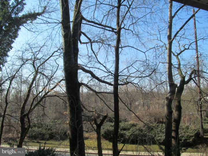 30 Leopard Road Paoli, PA 19301 - Photo 10 of 24 View from Front Door