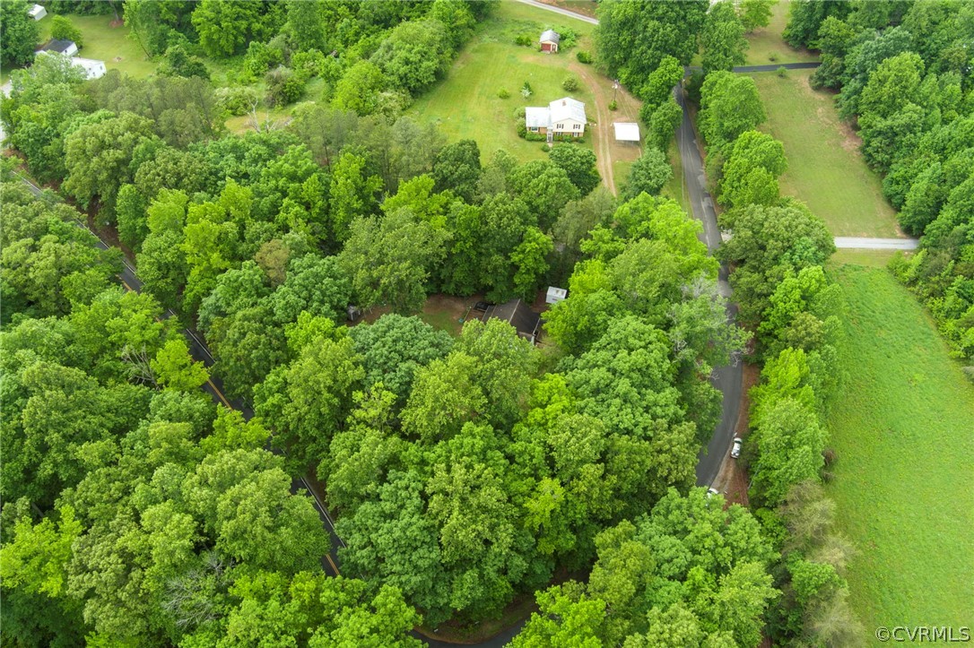1775 Hawk Town Road Maidens, VA 23102 - Photo 26 of 27 a view of a lush green forest with lots of trees