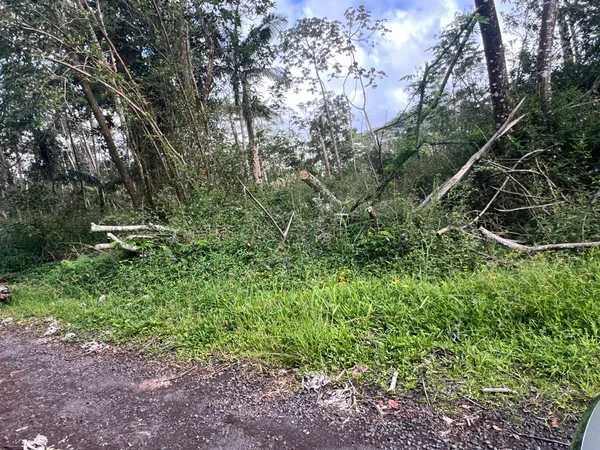 $12,000 | 600 Molokai Road, Pahoa, HI 96778