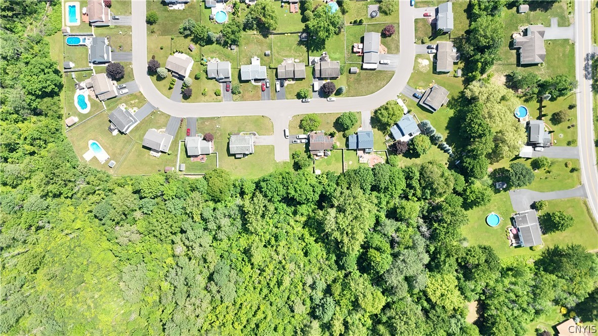8193 Rizzo Drive Clay, NY 13041 - Photo 41 of 47