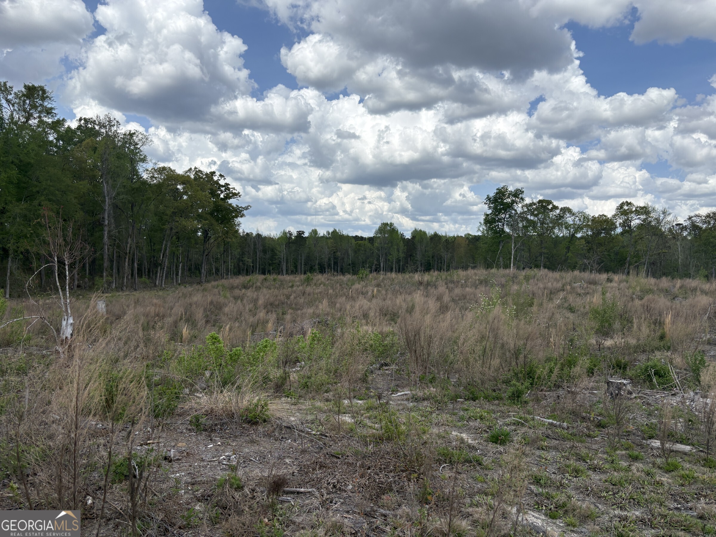 T3 Dc Hardie Road Gordon, GA 31031 - Photo 10 of 18 Gallery Image 10