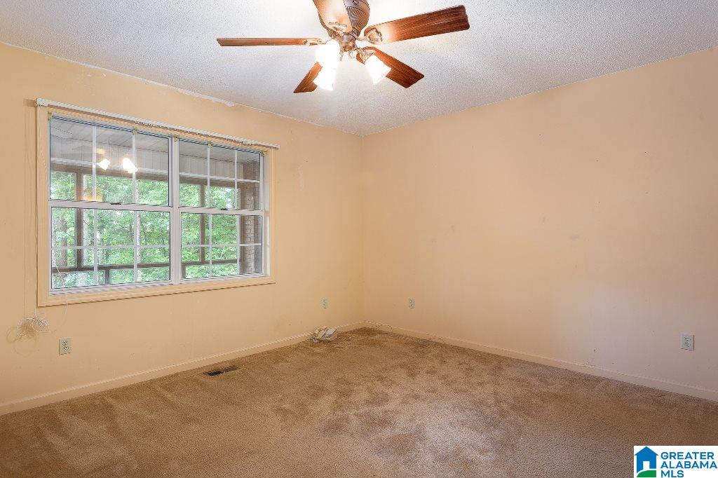 8116 Highway 77 Ohatchee, AL 36271 - Photo 13 of 45