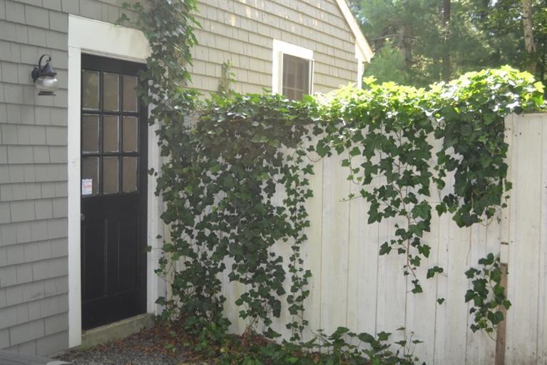 72 Rolling Hitch Road Centerville, MA 02632 - Photo 25 of 28 a plant that is in front of a house