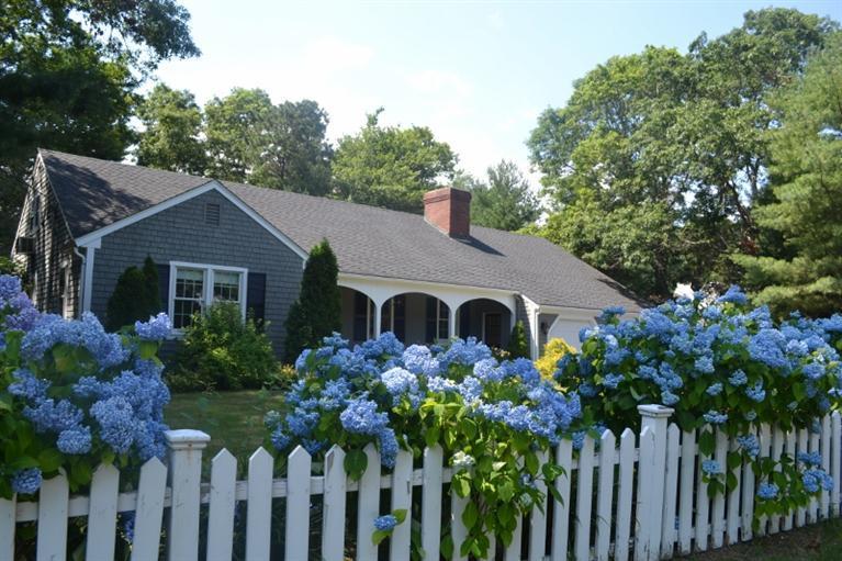 72 Rolling Hitch Road Centerville, MA 02632 - Photo 28 of 28 a front view of house with yard and green space