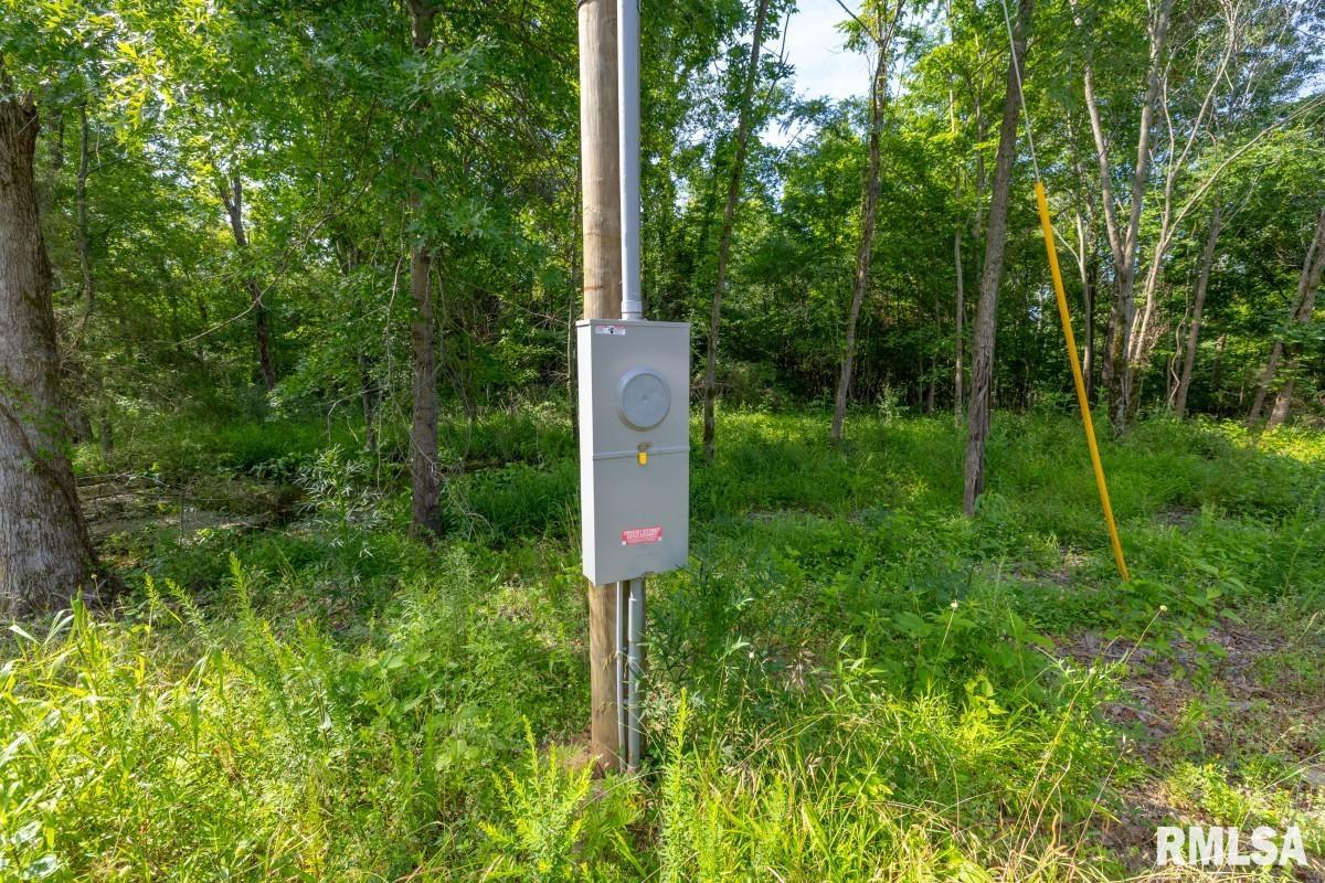 0 Tom Dick Hill Road Stonefort, IL 62987 - Photo 58 of 62