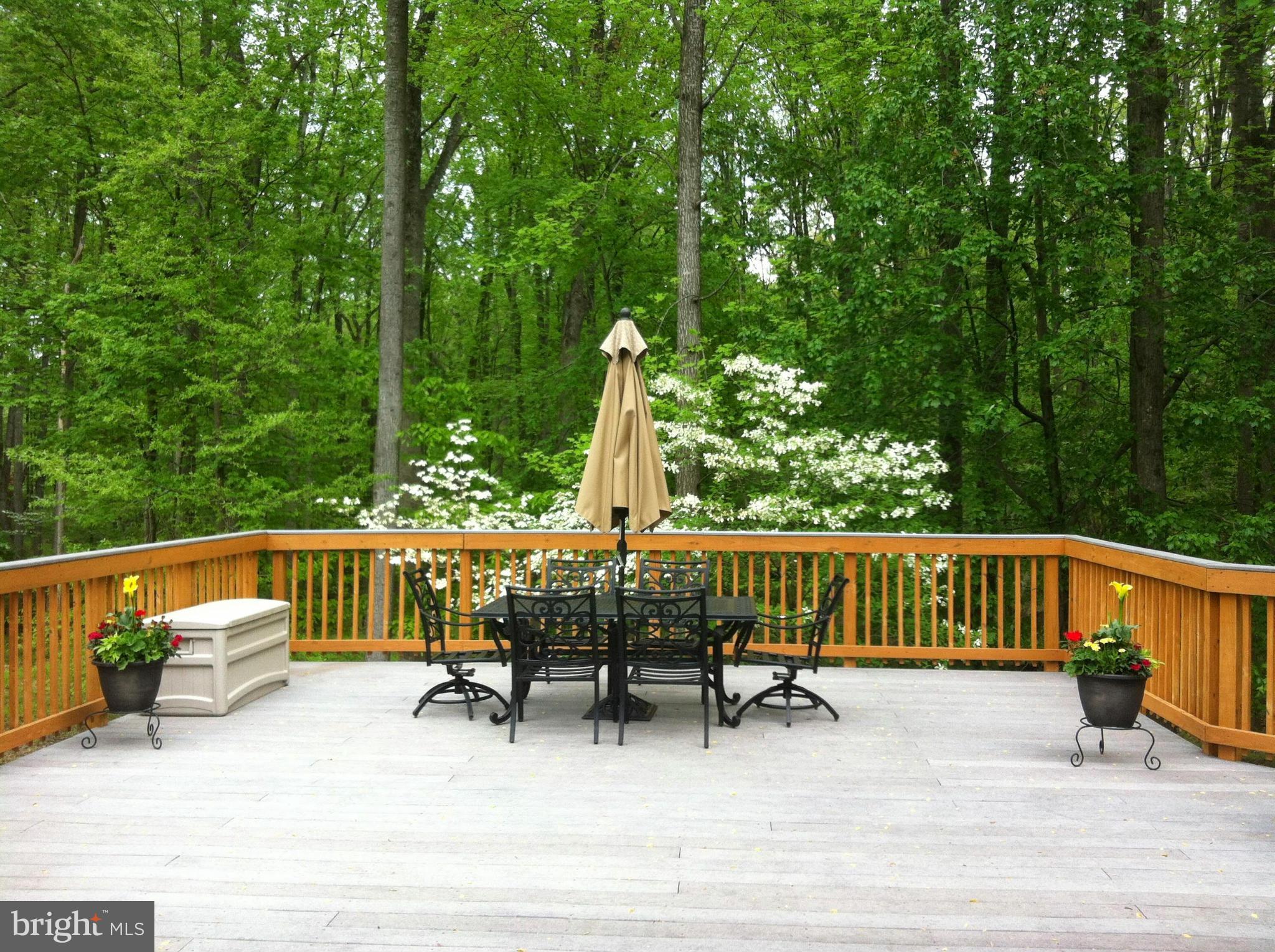 537 Utterback Store Road Great Falls, VA 22066 - Photo 29 of 30 Fabulous deck for entertaining