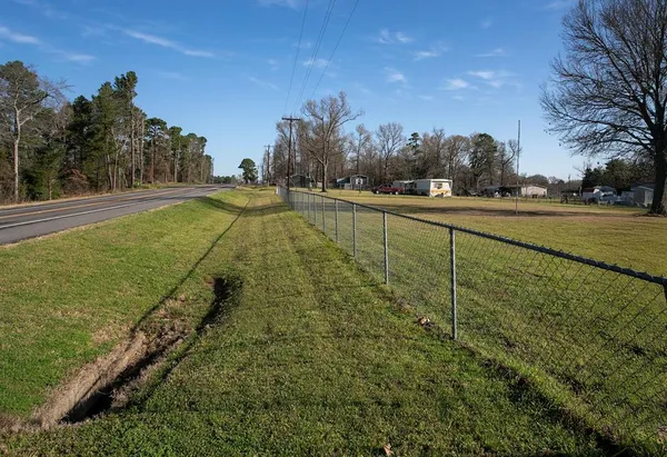 a view of a yard with large trees