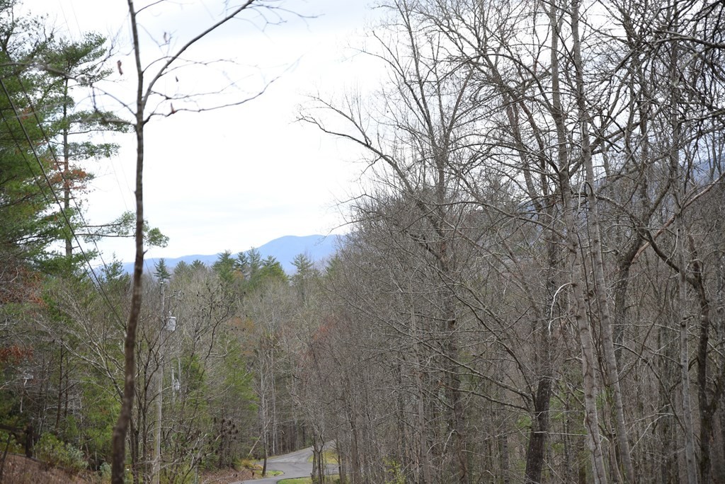522 Nathans Nook Road Townsend, TN 37882 - Photo 33 of 33 Gallery Image 33