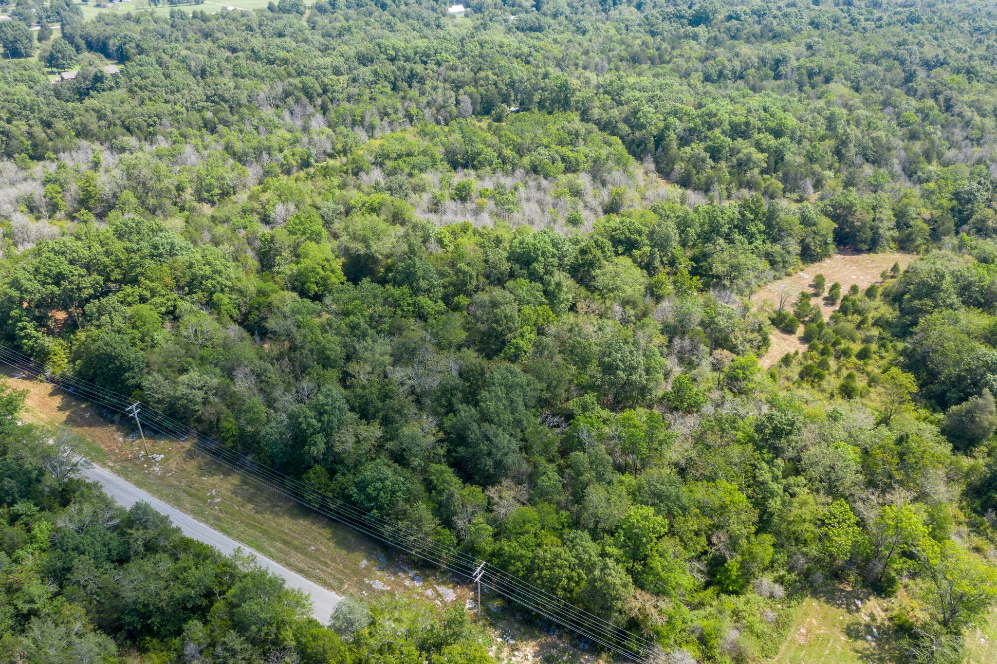 1 Rally Hill Cutoff Road Columbia, TN 38401 - Photo 13 of 21 an aerial view of residential house with outdoor space and trees all around