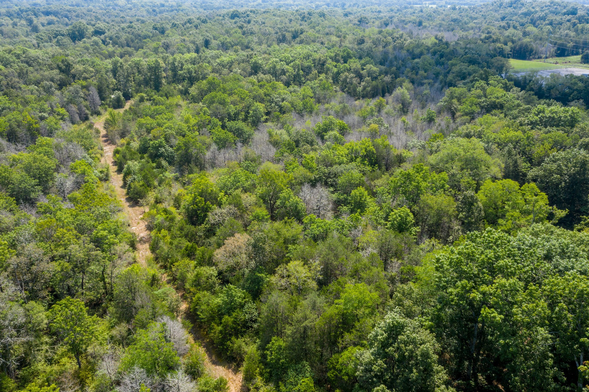1 Rally Hill Cutoff Road Columbia, TN 38401 - Photo 20 of 21 an aerial view of residential house with outdoor space and trees all around
