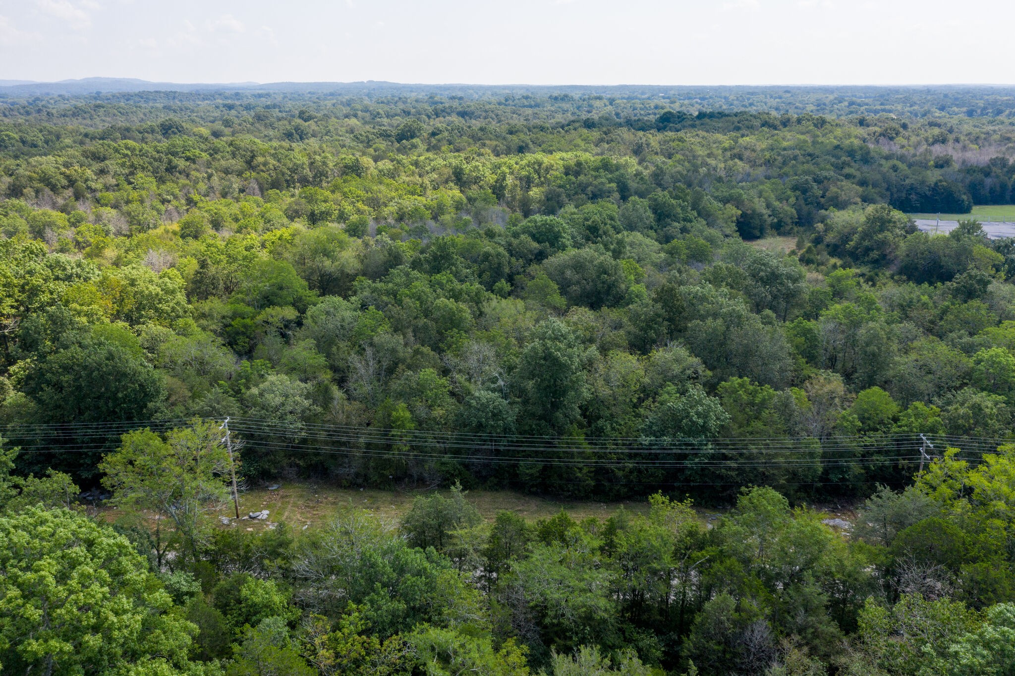 1 Rally Hill Cutoff Road Columbia, TN 38401 - Photo 21 of 21 a view of a lush green forest with trees and some houses