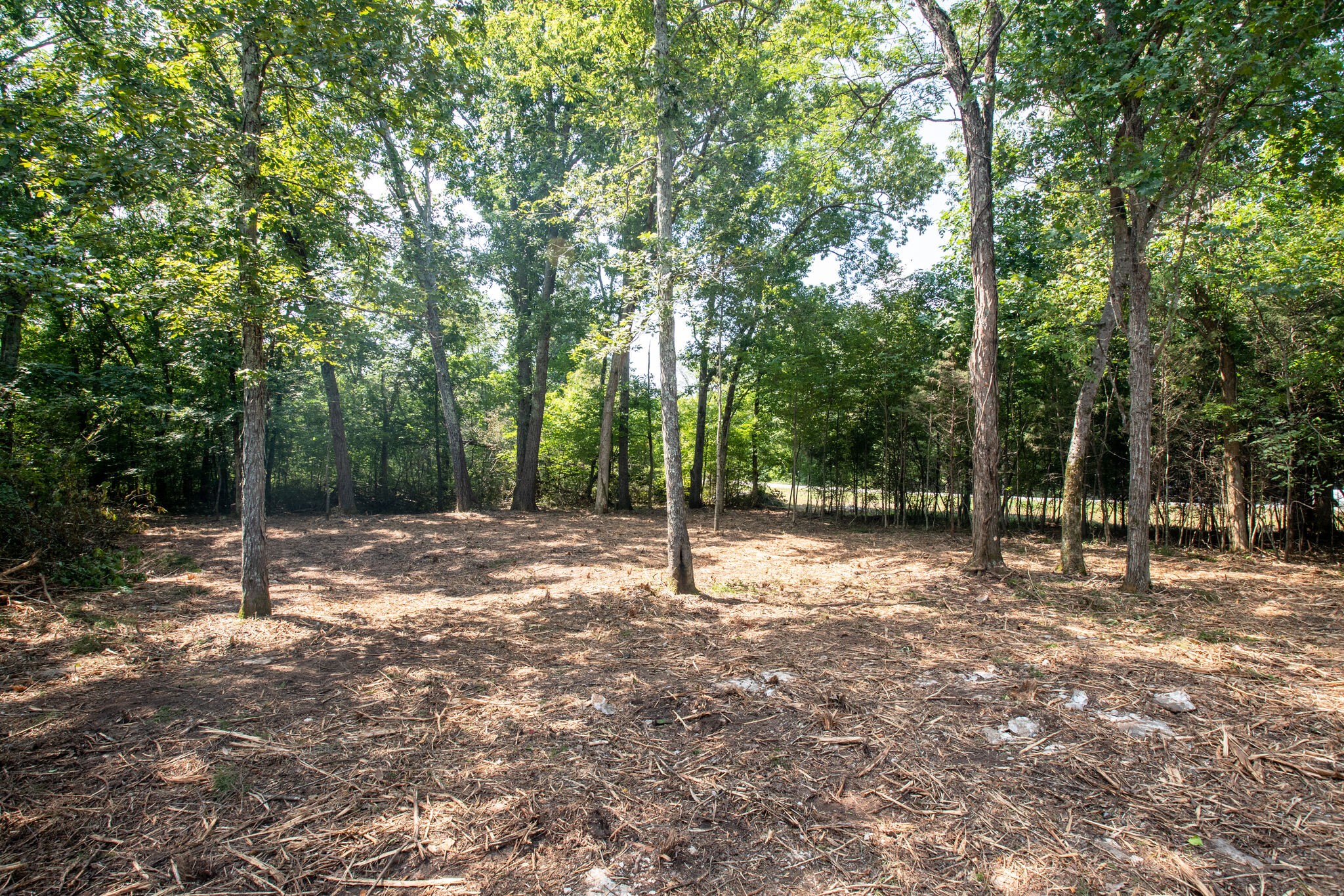 1 Rally Hill Cutoff Road Columbia, TN 38401 - Photo 4 of 21 a backyard of a house with lots of green space