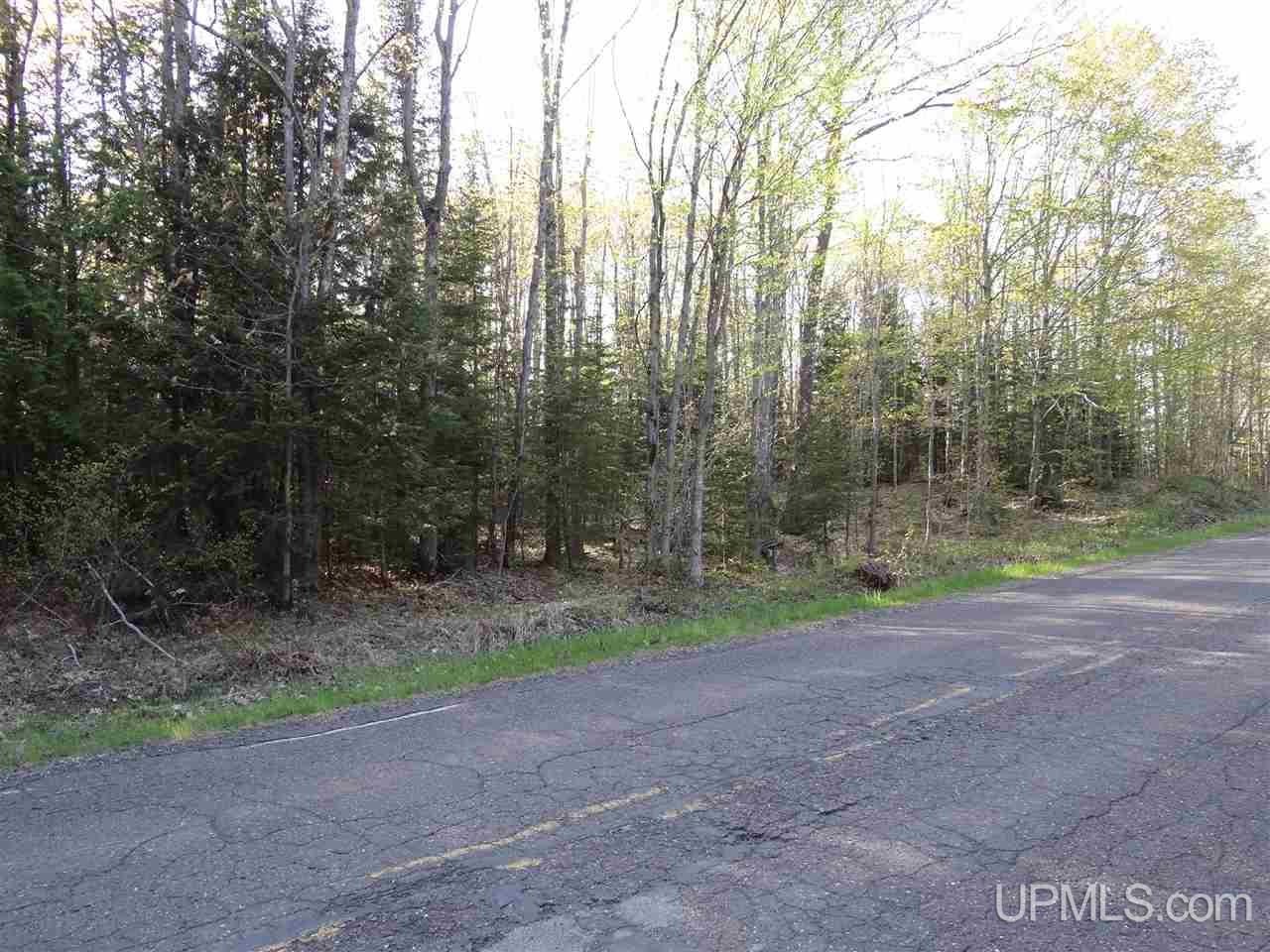 Tbd Rauhala Road, Unit PARCEL 3 Atlantic Mine, MI 49931 - Photo 10 of 19