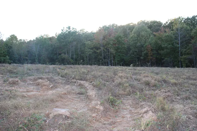 a view of a dry yard