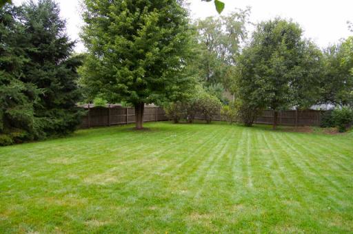 151 South Raddant Road Batavia, IL 60510 - Photo 16 of 16 a backyard of a house with lots of green space
