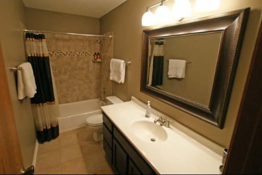 151 South Raddant Road Batavia, IL 60510 - Photo 9 of 16 a bathroom with a sink vanity and mirror