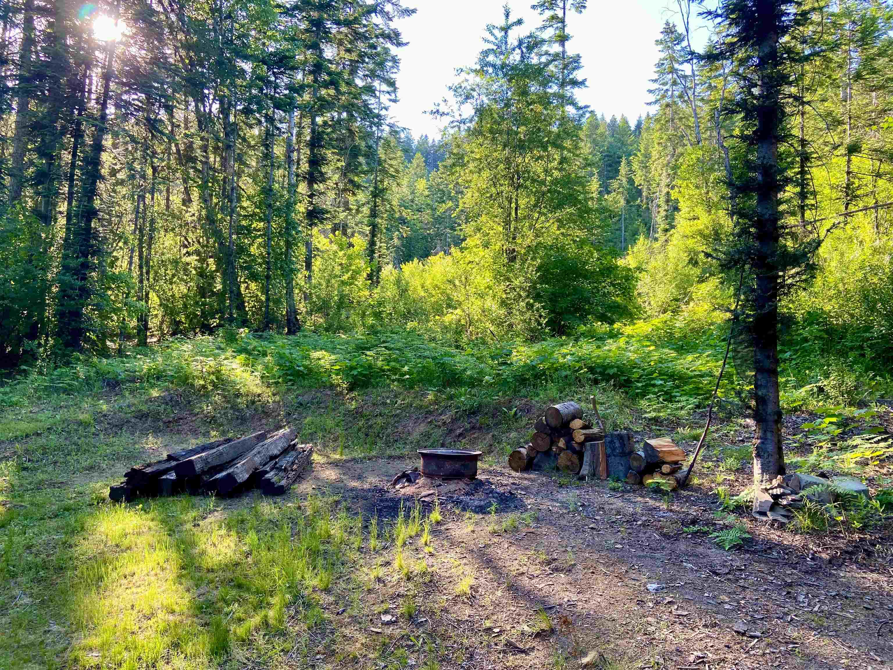 Tbd Buck Creek Road Newport, WA 99156 - Photo 30 of 50