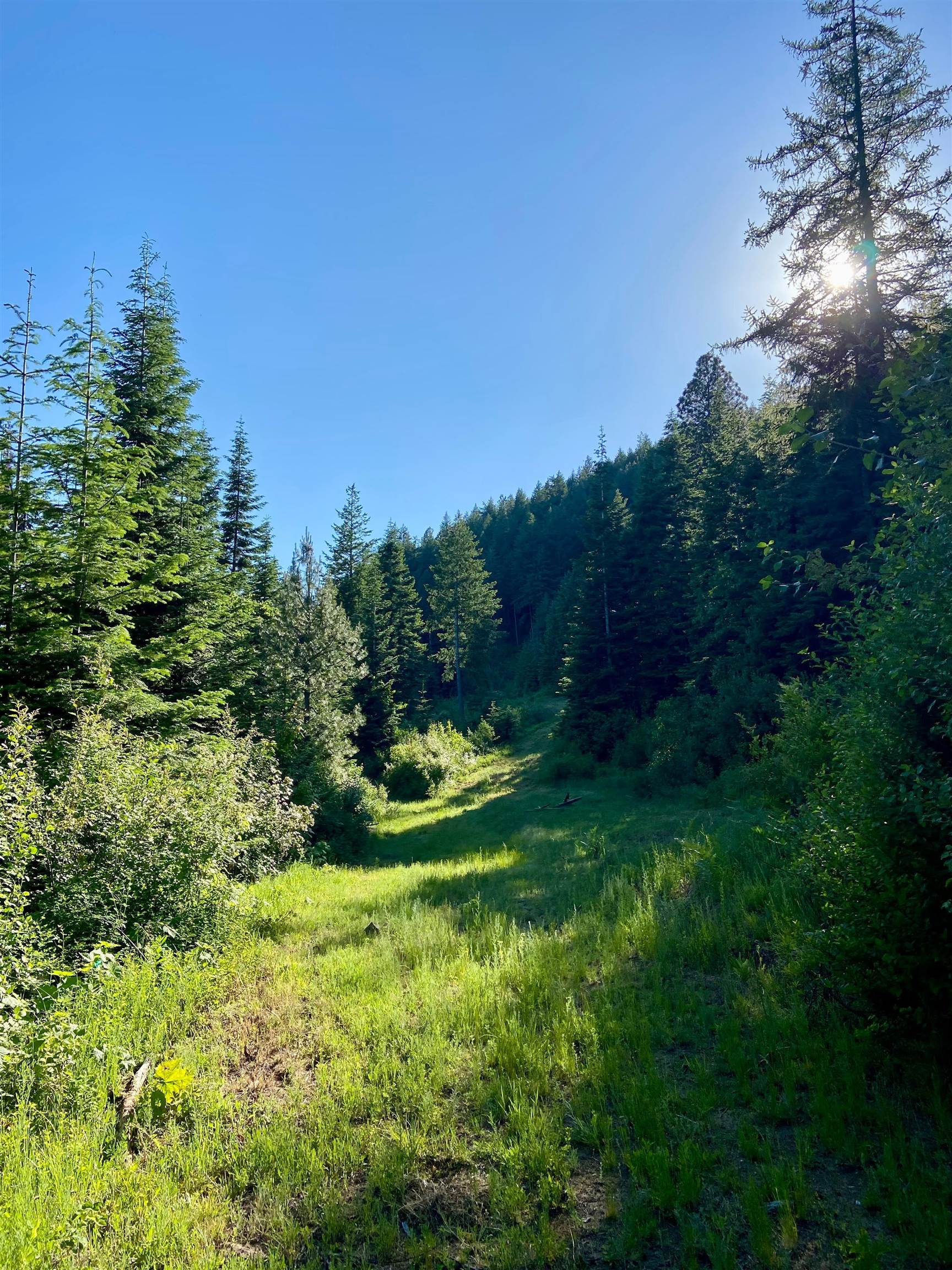 Tbd Buck Creek Road Newport, WA 99156 - Photo 32 of 50