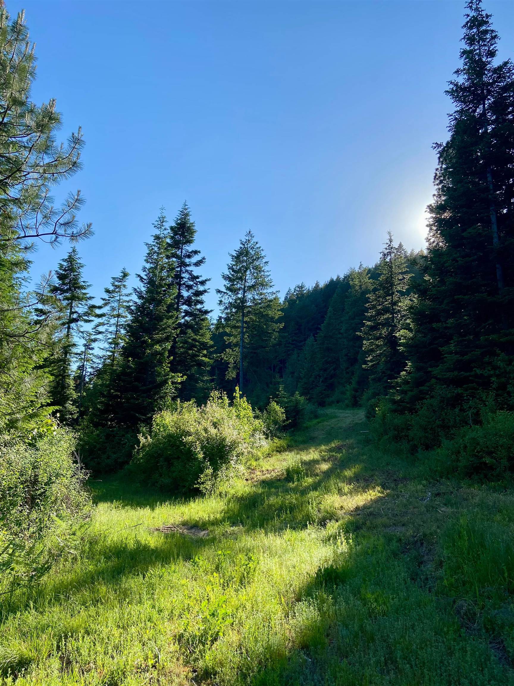 Tbd Buck Creek Road Newport, WA 99156 - Photo 33 of 50