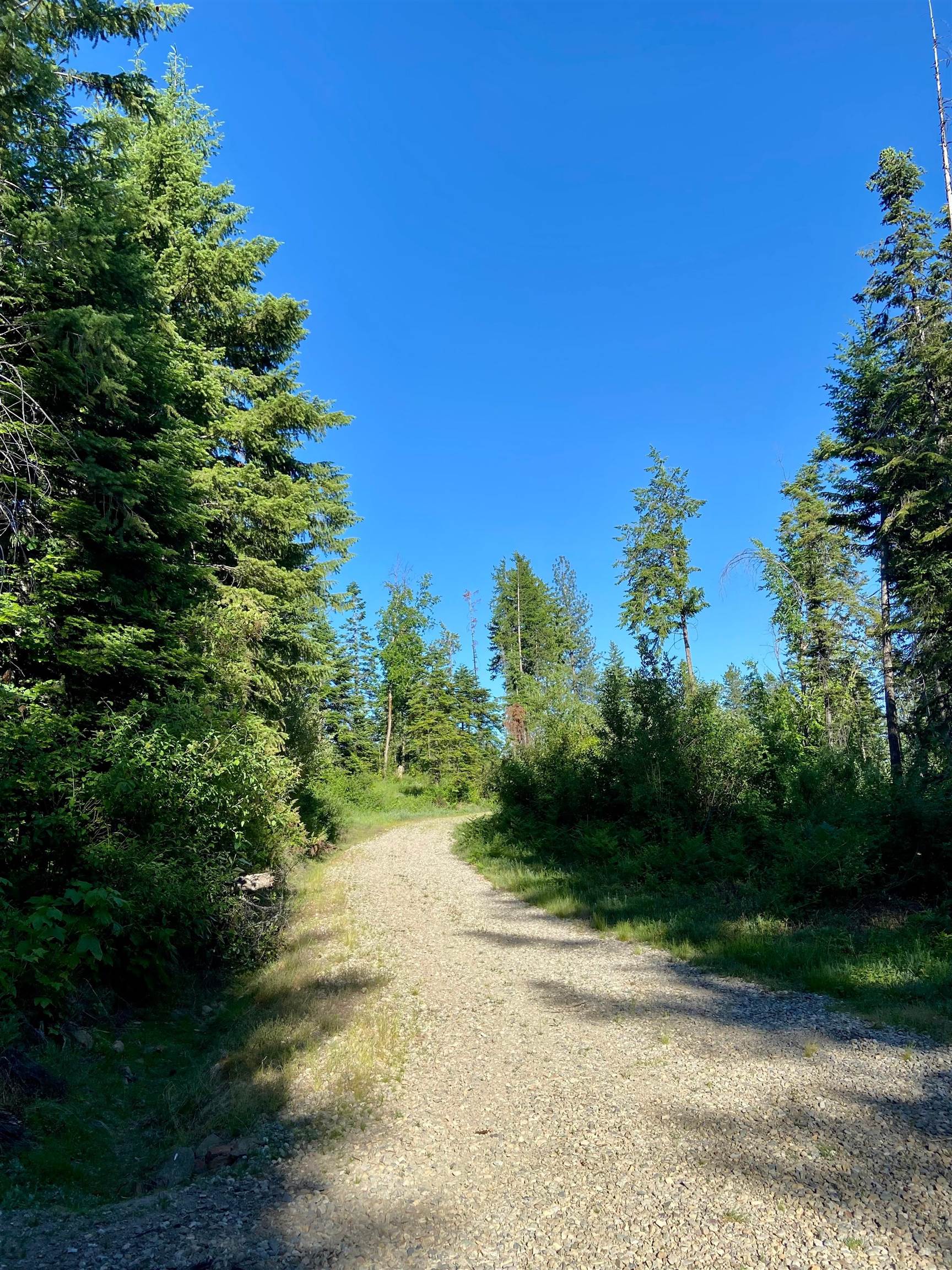 Tbd Buck Creek Road Newport, WA 99156 - Photo 34 of 50