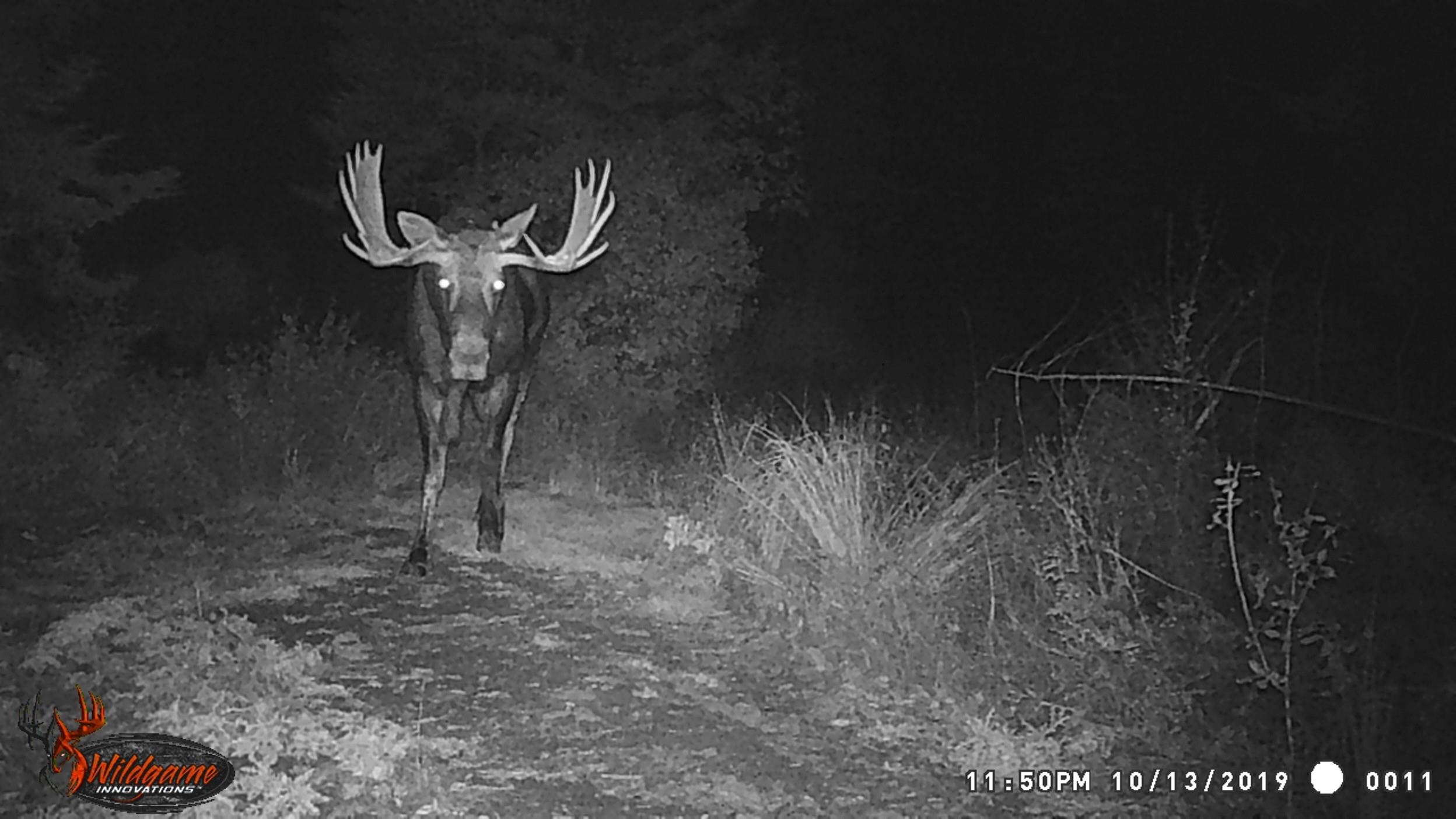 Tbd Buck Creek Road Newport, WA 99156 - Photo 36 of 50