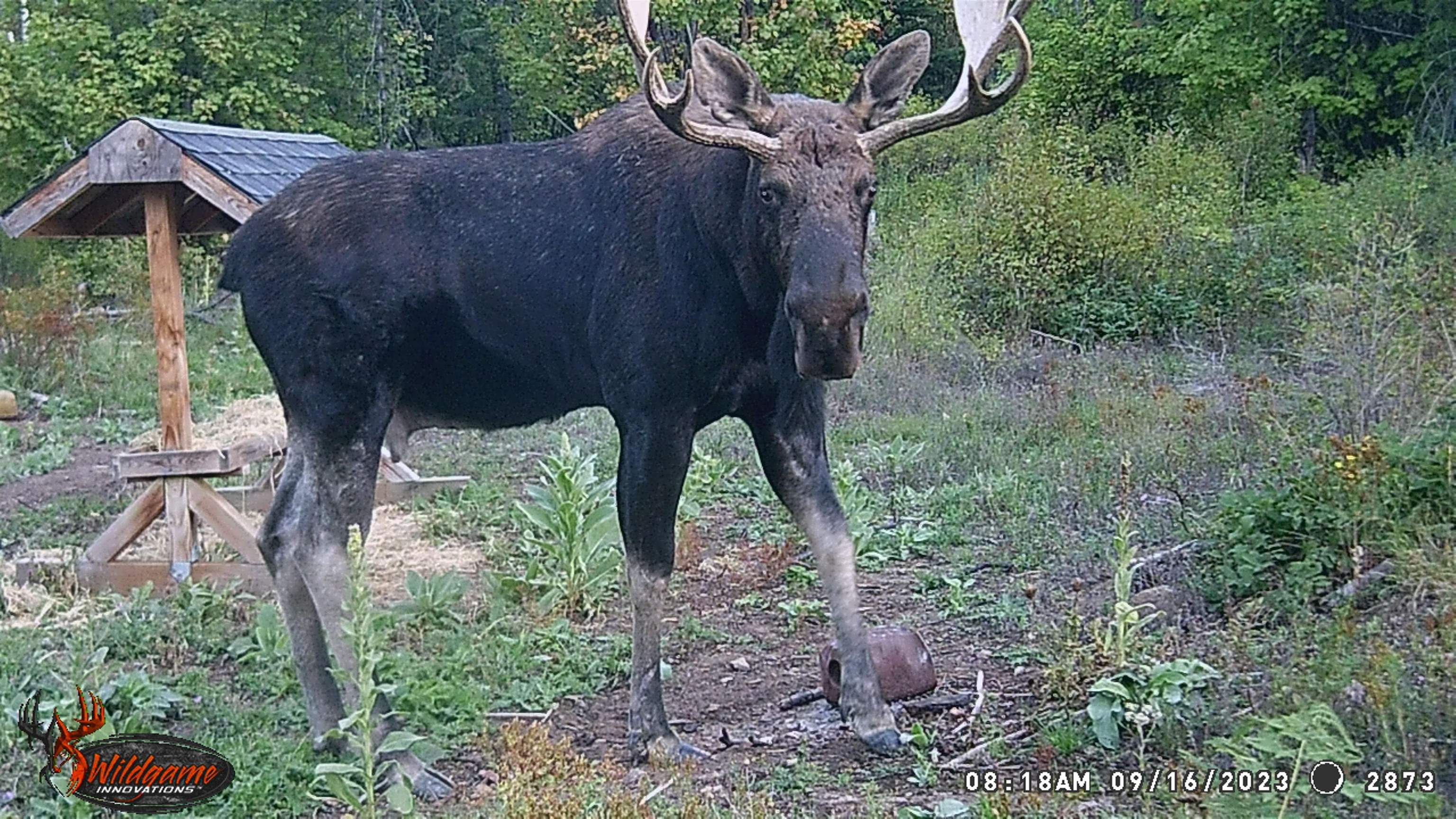 Tbd Buck Creek Road Newport, WA 99156 - Photo 37 of 50