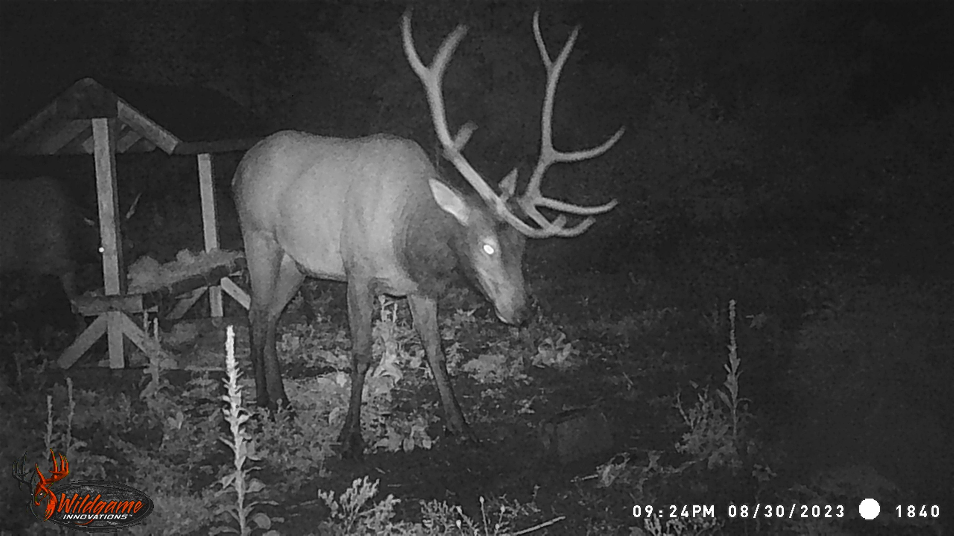 Tbd Buck Creek Road Newport, WA 99156 - Photo 39 of 50