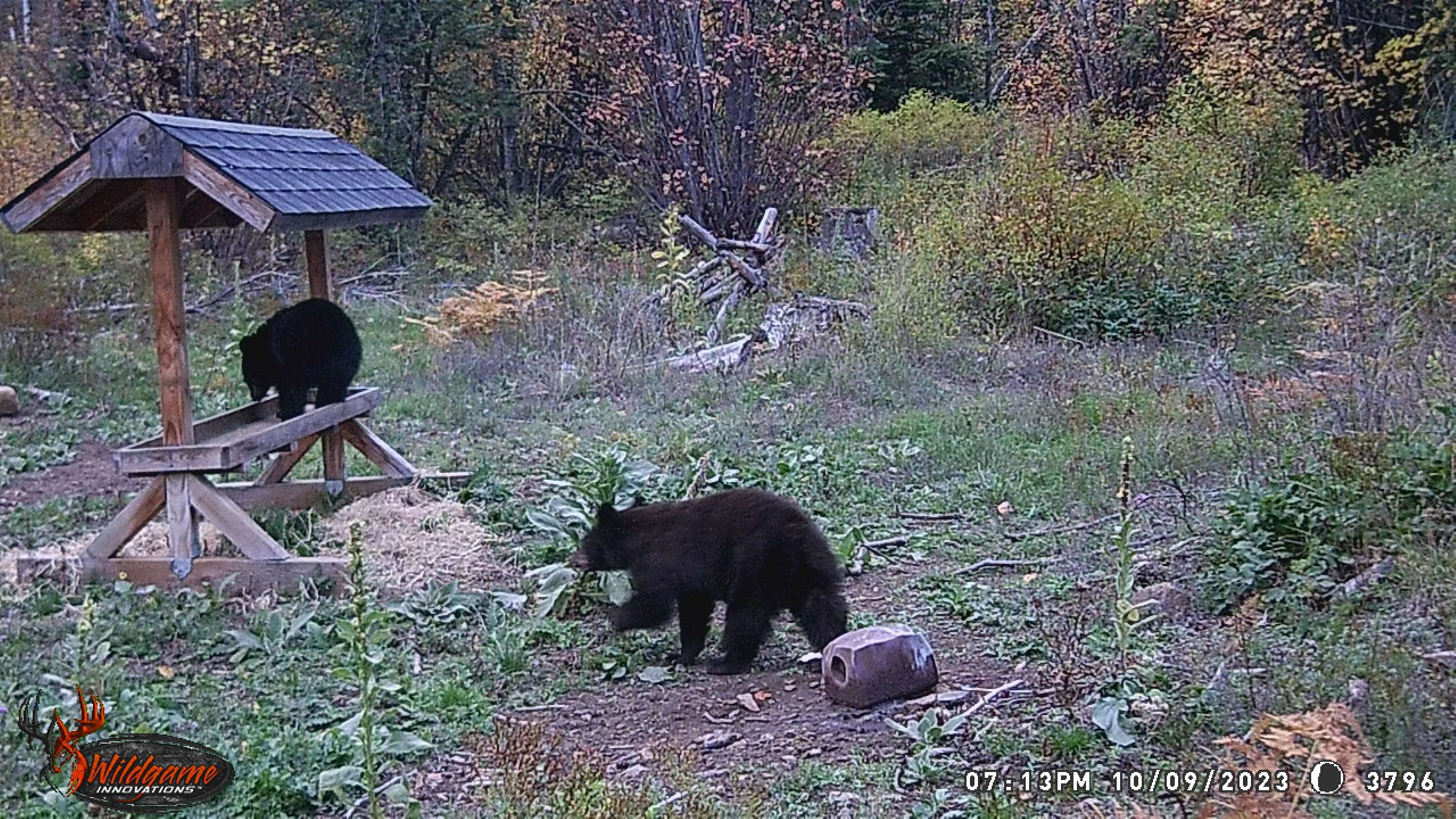 Tbd Buck Creek Road Newport, WA 99156 - Photo 43 of 50