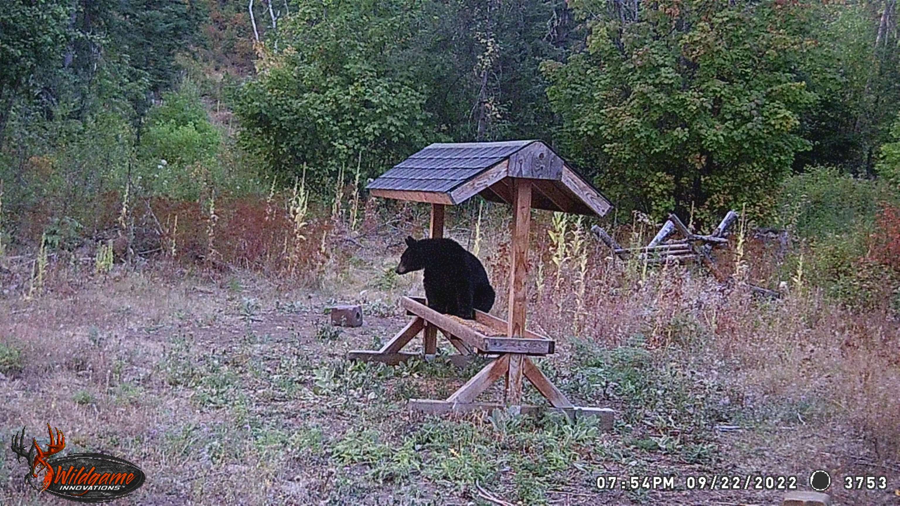 Tbd Buck Creek Road Newport, WA 99156 - Photo 44 of 50