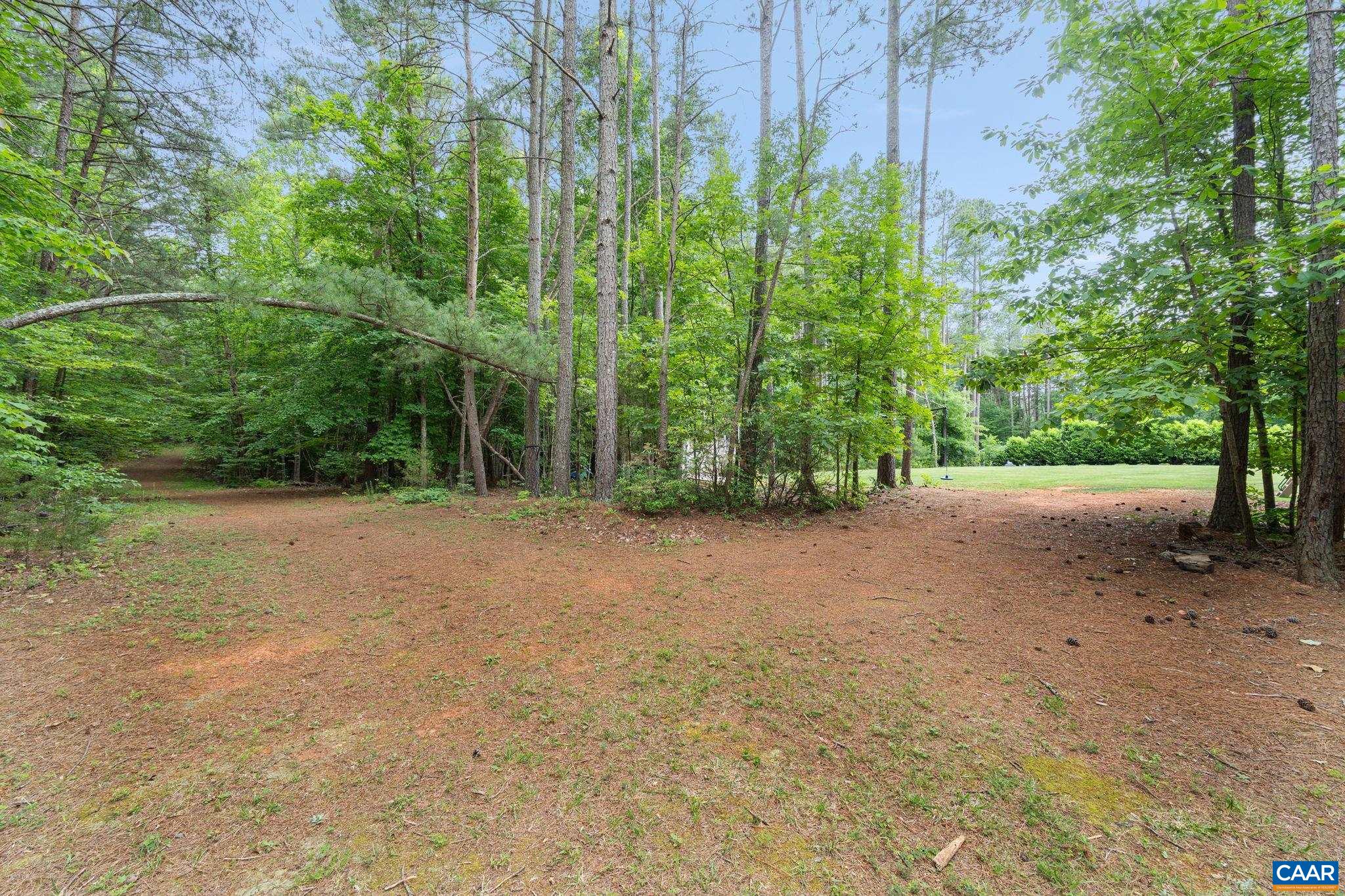 117 Two Rivers Drive Troy, VA 22974 - Photo 34 of 41 Gallery Image 34