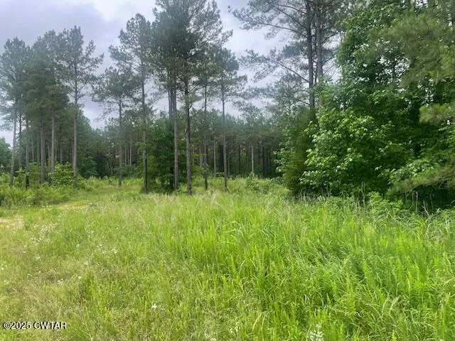 $35,000 | 0 Bartlett Road, Reagan, TN 38368