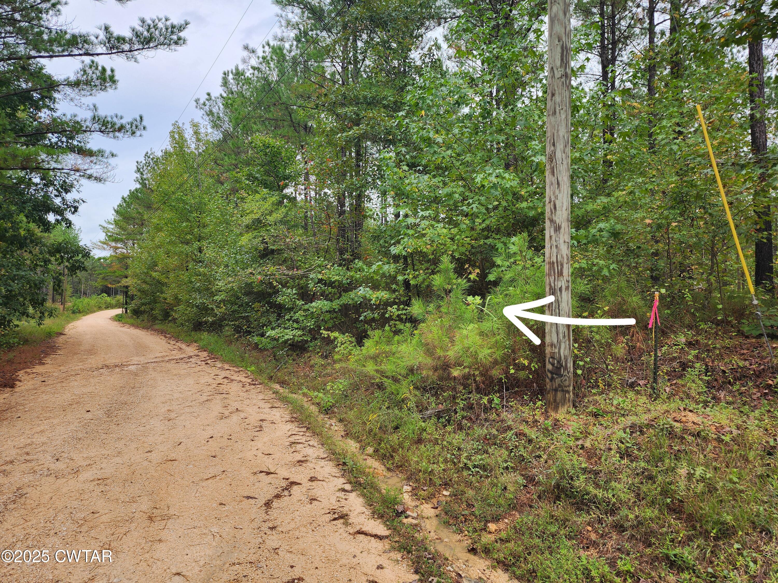 0 Bartlett Road Reagan, TN 38368 - Photo 8 of 9 BarnettRD1