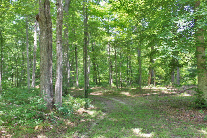 1558 Sandy Gap Road Somerset, KY 42501 - Photo 62 of 67 IMG_8683