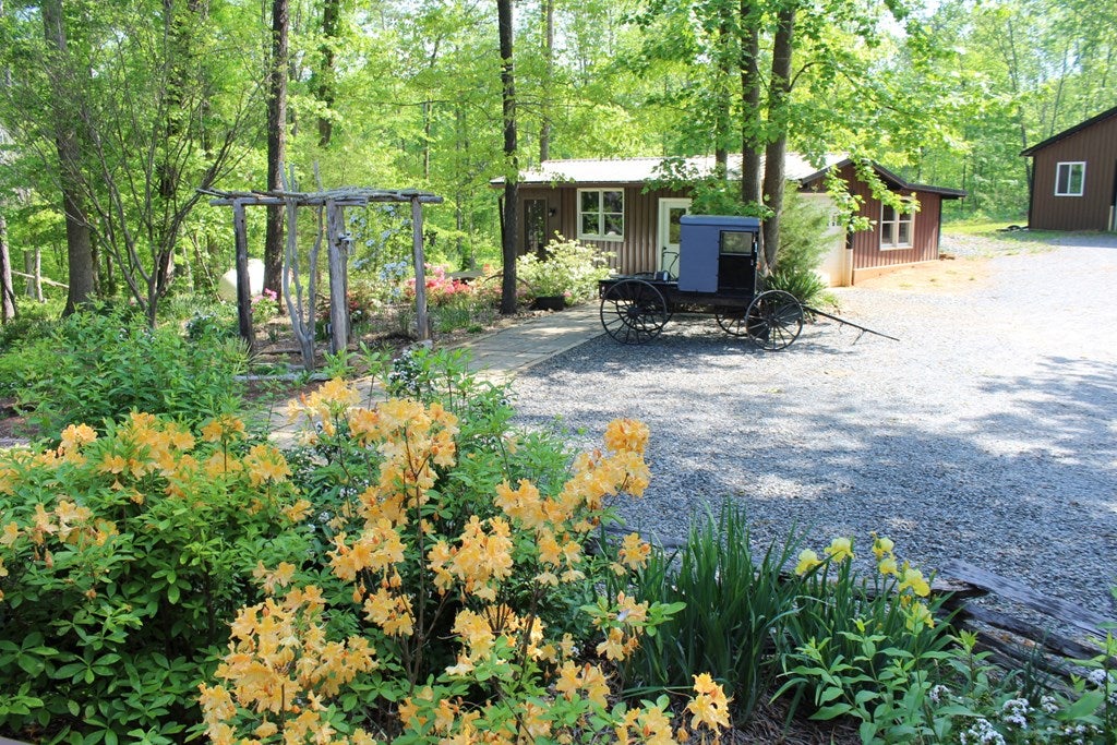 297 Legrande Road Dillwyn, VA 23936 - Photo 40 of 65 Gallery Image 40