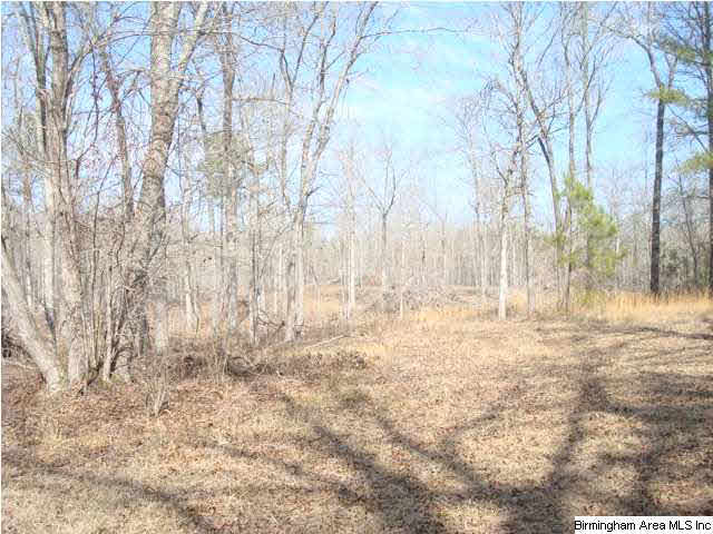 1180 Thompson Road, Unit 39 ACRES Ohatchee, AL 36271 - Photo 14 of 16