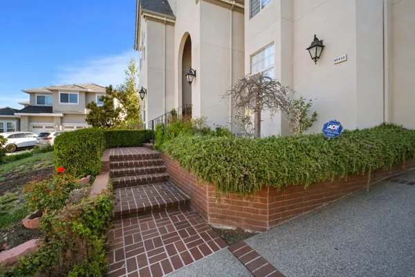 a view of a pathway with plants
