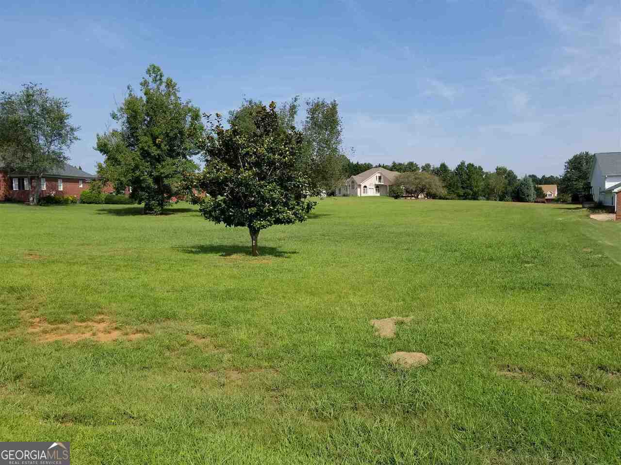 0 Mallard Lane, Unit LOT 51 Locust Grove, GA 30248 - Photo 3 of 27