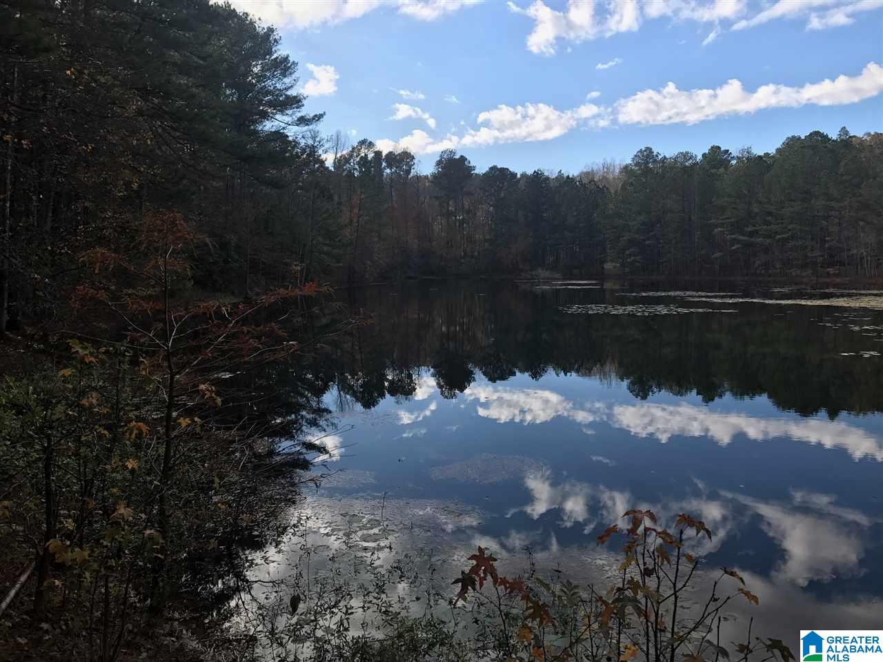 3415 Logan Martin Dam Road, Unit 48 / ACRES Vincent, AL 35178 - Photo 21 of 32