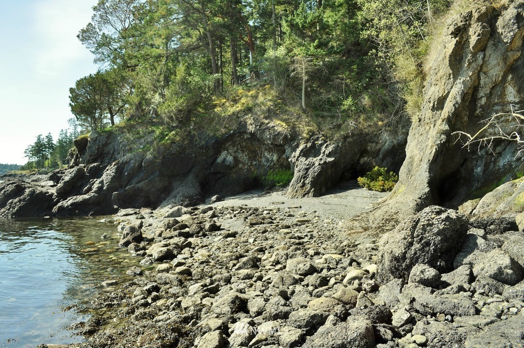 157 Ferry Road Lopez Island, WA 98261 - Photo 20 of 22