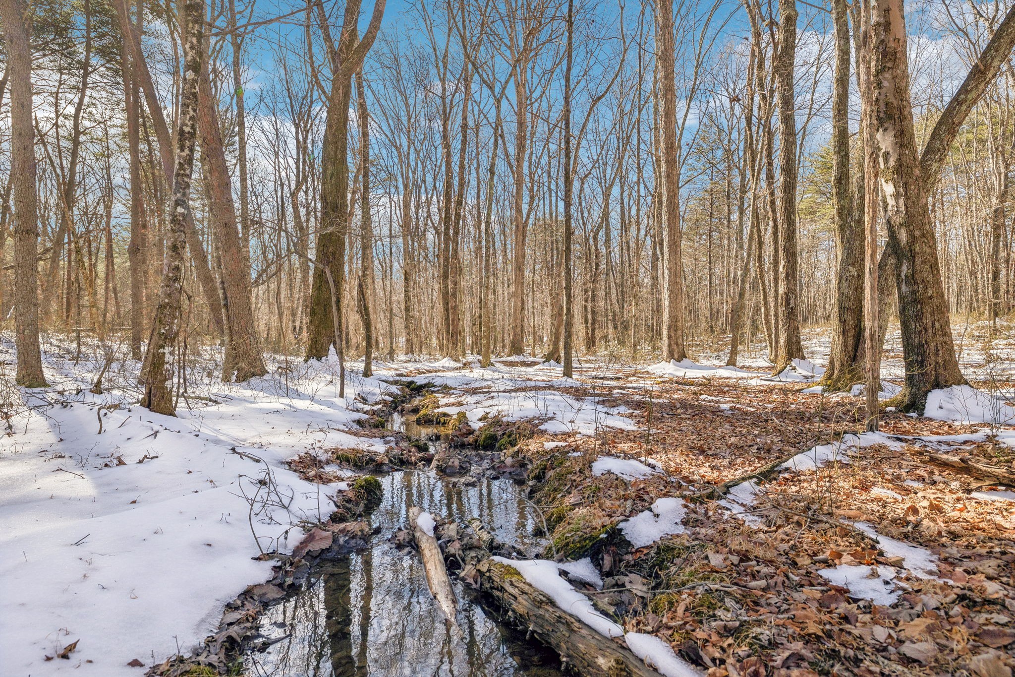 a view of outdoor space with deck and yard