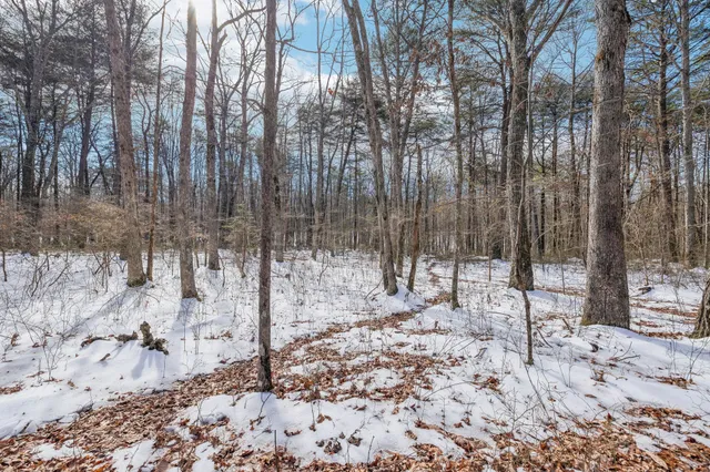 a view of a forest covered with snow