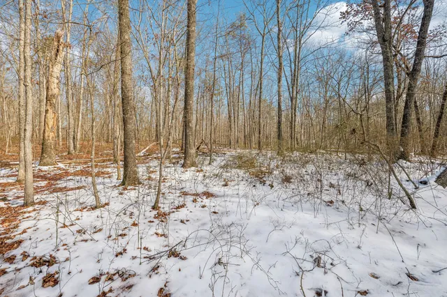 a view of a backyard of the house