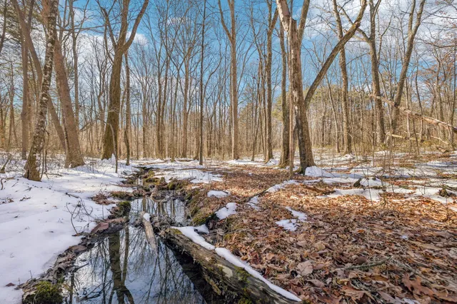 a view of a field with an ocean