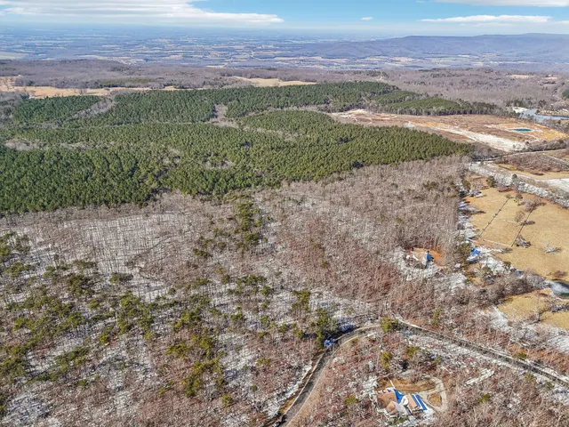 a close up of a field