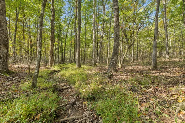 a view of outdoor space with deck and trees