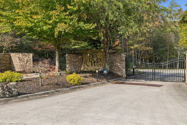 a view of a park with large trees