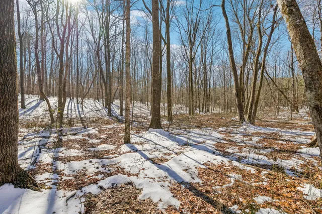 a view of outdoor space with yard